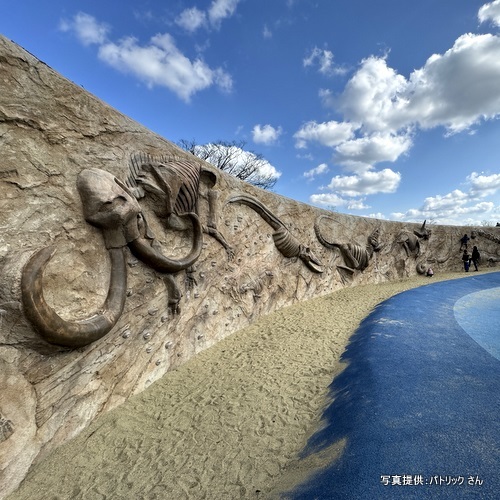 響灘緑地・化石の谷（福岡県 北九州市）【こんなところで恐竜発見！】